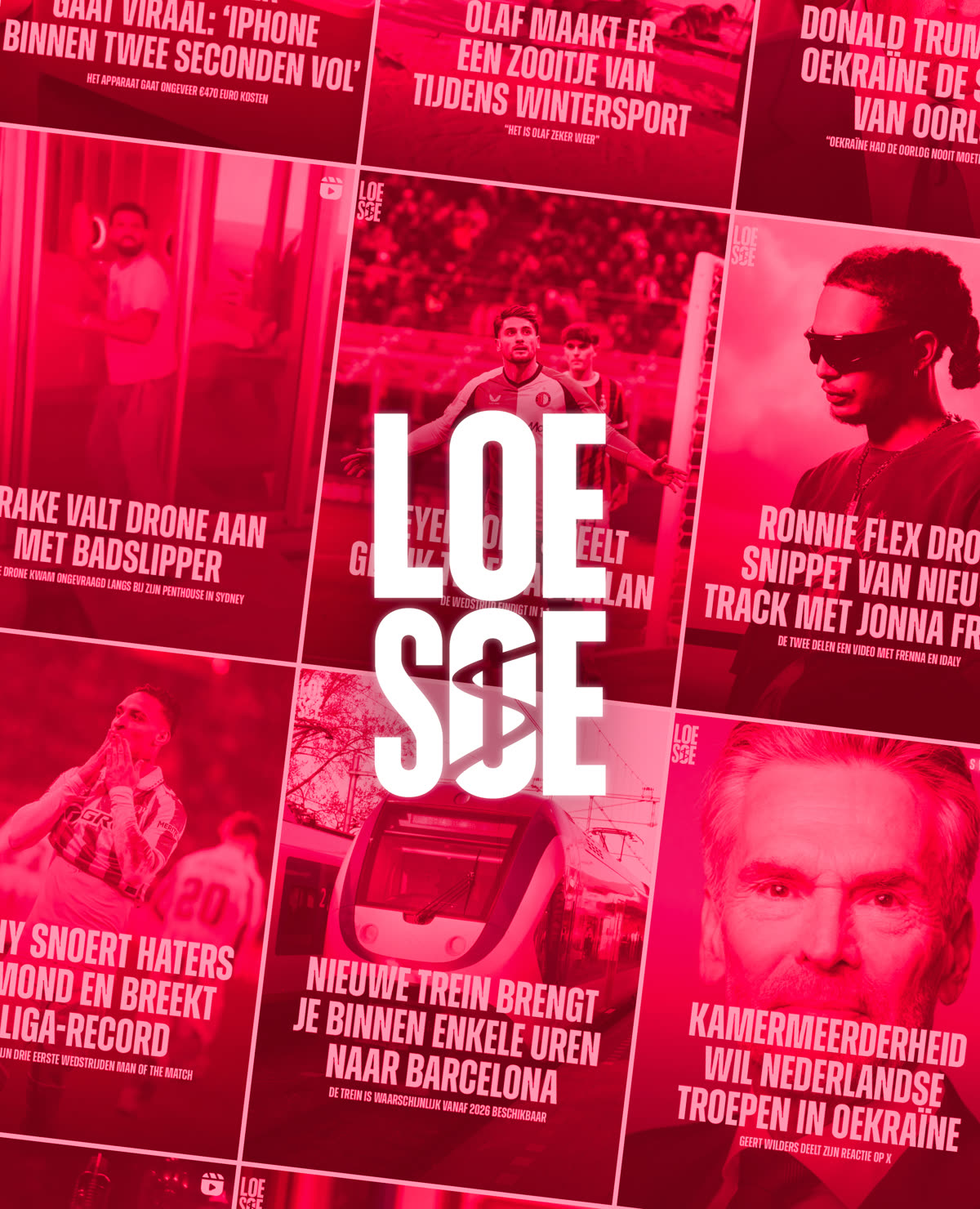 Huisstijl voor Loesoe